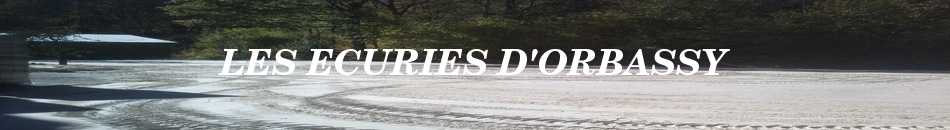 LES ECURIES D'ORBASSY